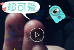 拍拍拍视频,捕捉生活美好瞬间